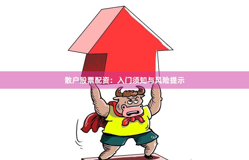 散户股票配资：入门须知与风险提示